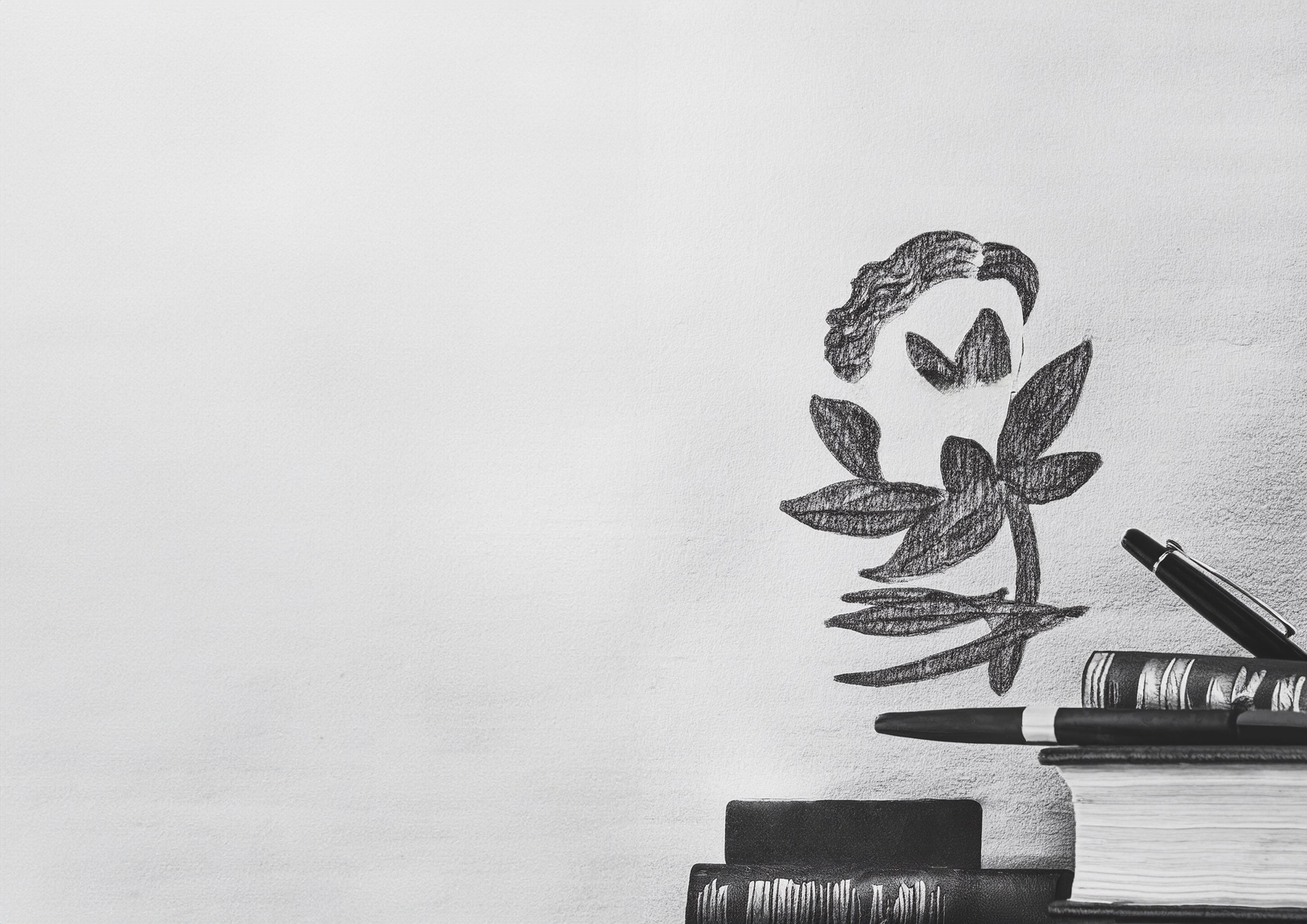 Studenträttslig rapport 2024